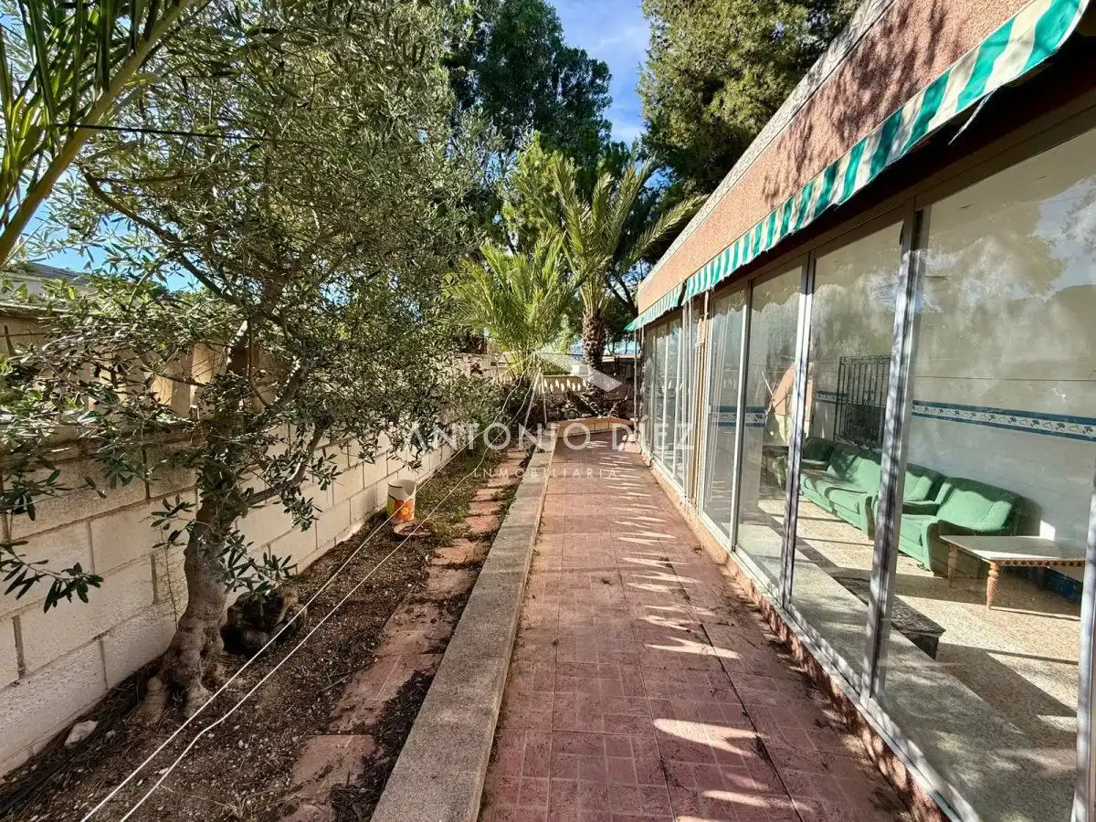 Garden of Houses for sale in Aspe  with Swimming Pool