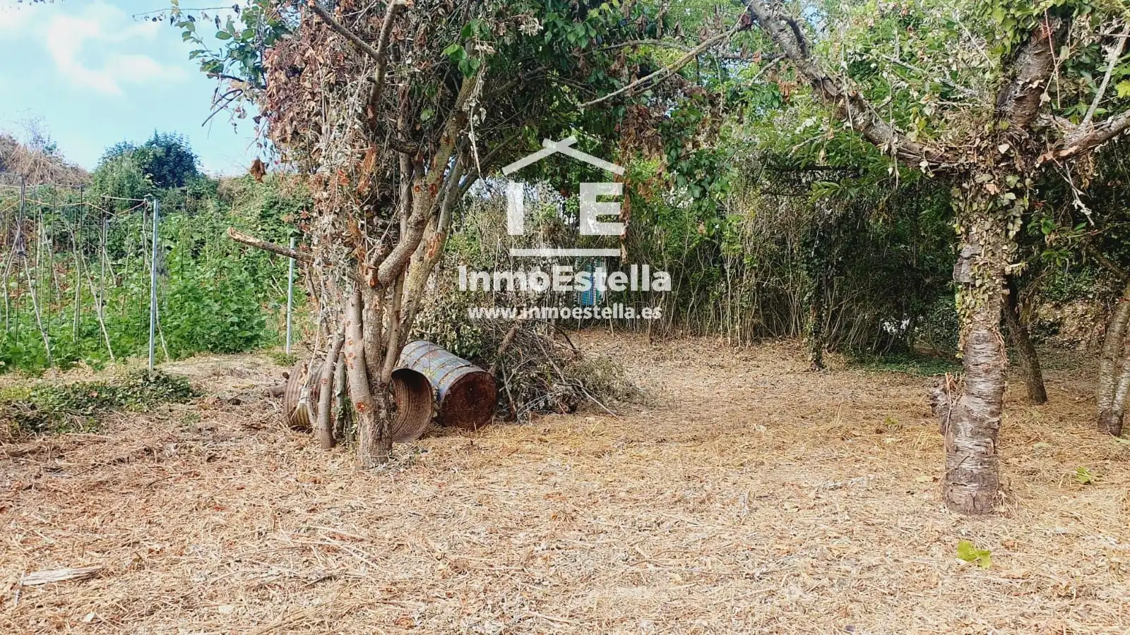 Rural land for sale in Zuloandia, imagen 4