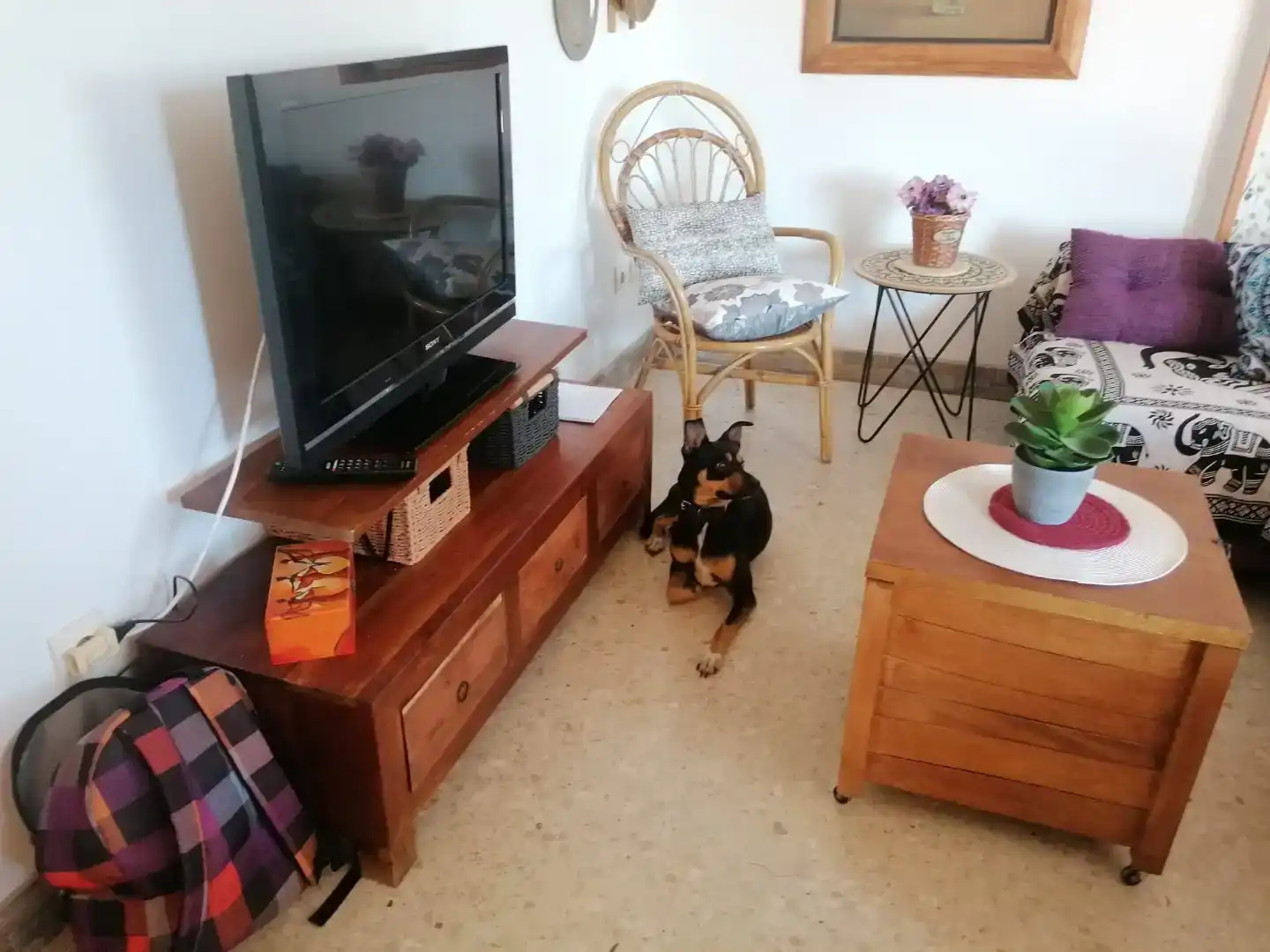 Sala de estar de Apartamento en venta en Cullera con Aire acondicionado
