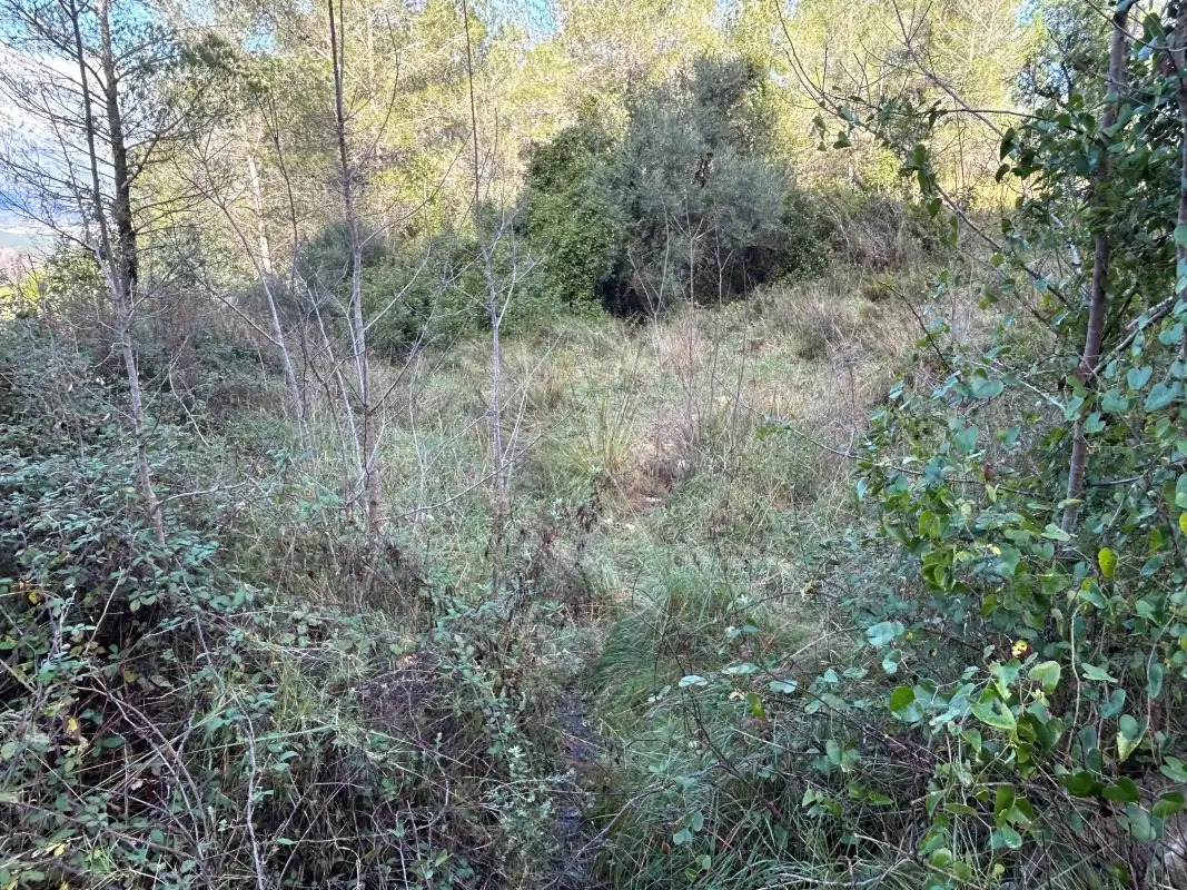 Rural land for sale in Partida Tancaes, imagen 24