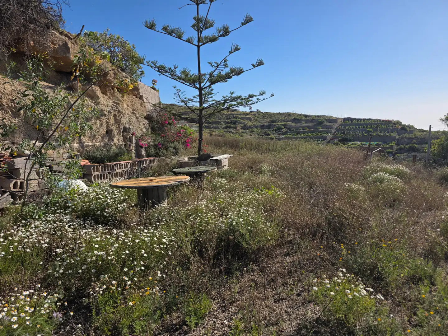 Terrasse von Grundstücke zum Verkauf in Güímar