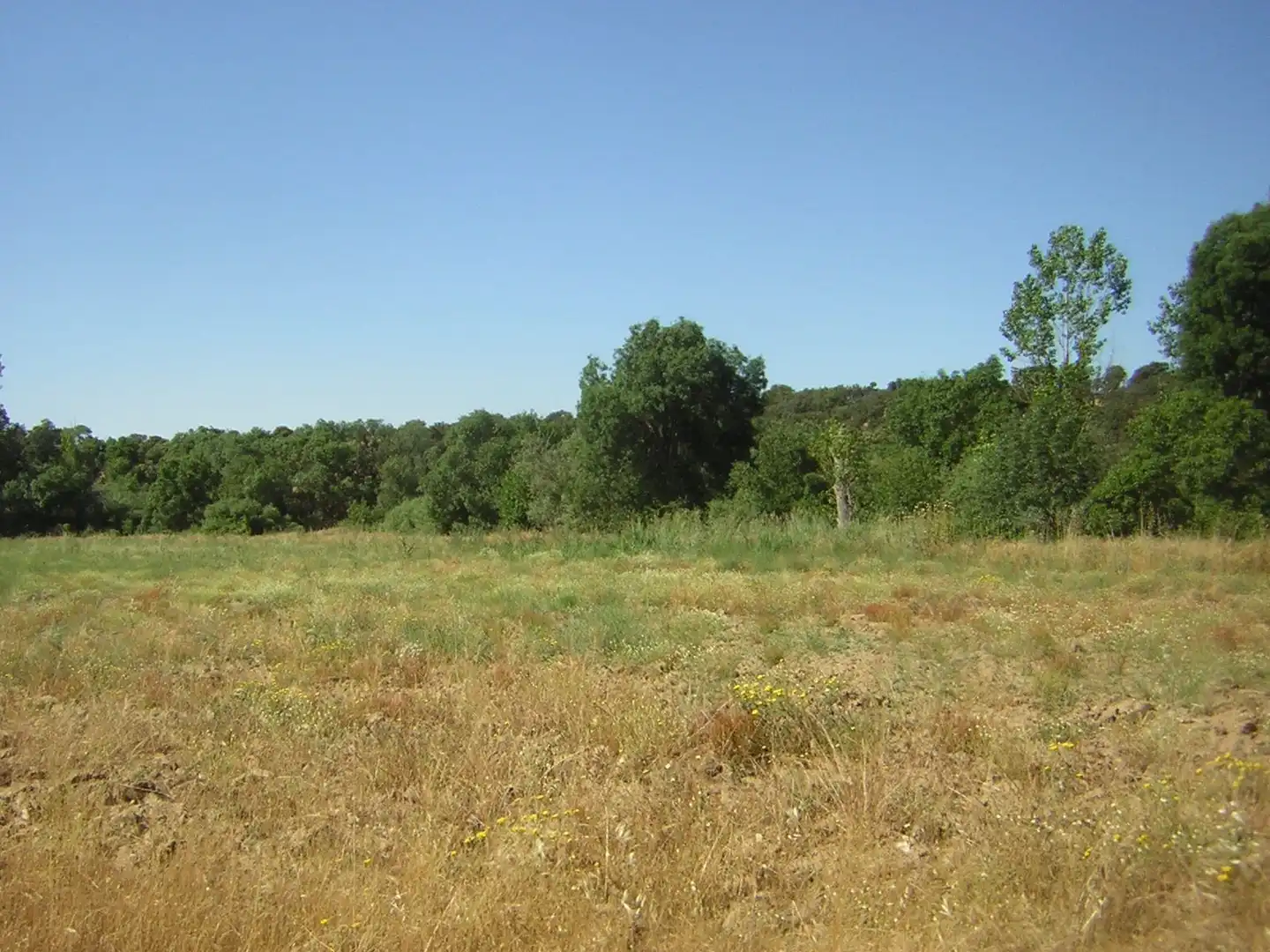 Rural land for sale in Almorox, imagen 8