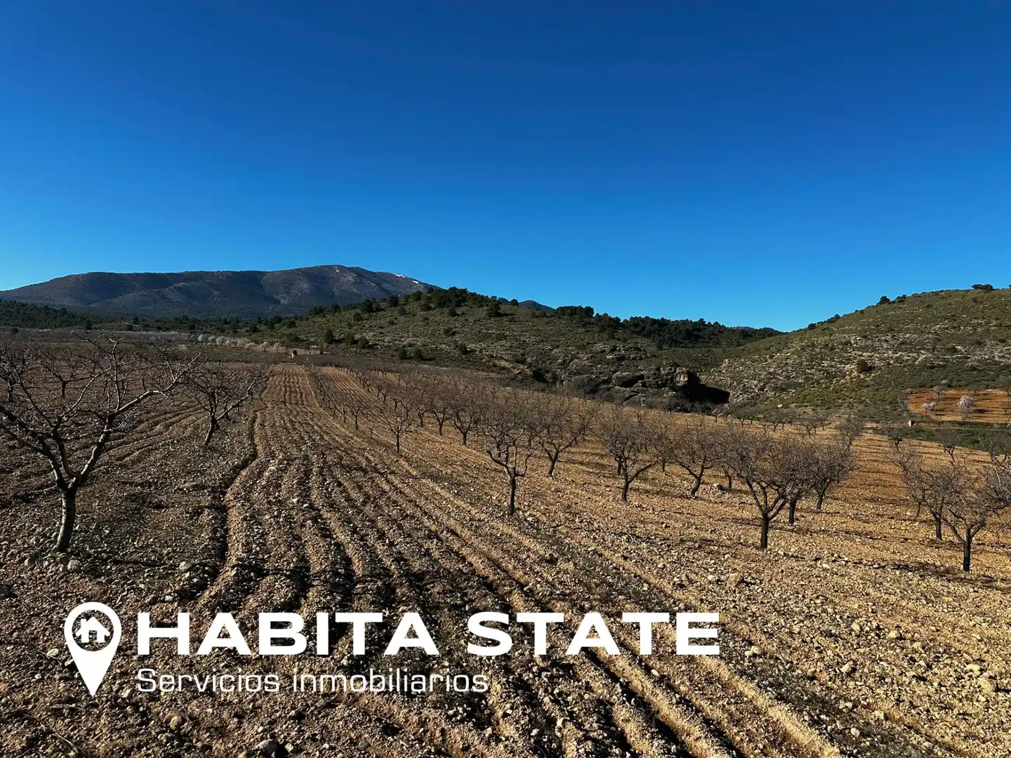 Exterior view of Land for sale in Baza