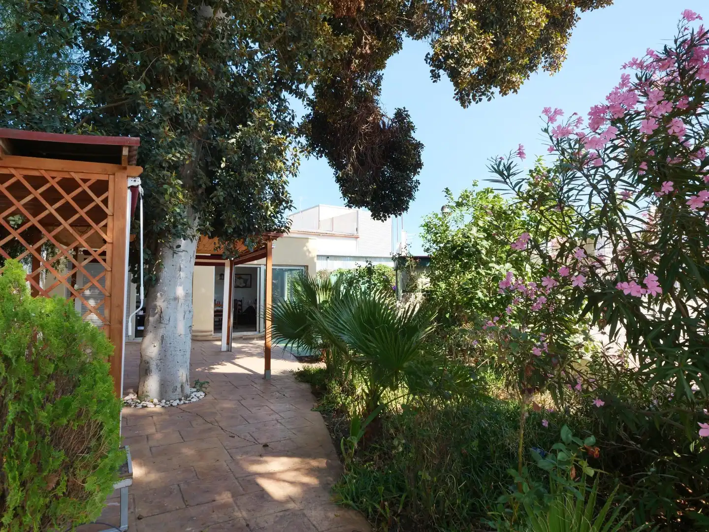 Jardín de Nave industrial en venta en Almoradí