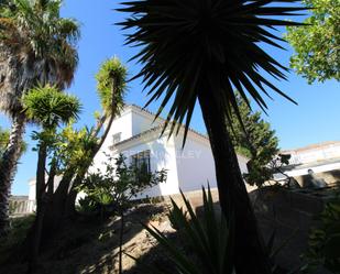 Vista exterior de Casa o xalet en venda en Sotogrande