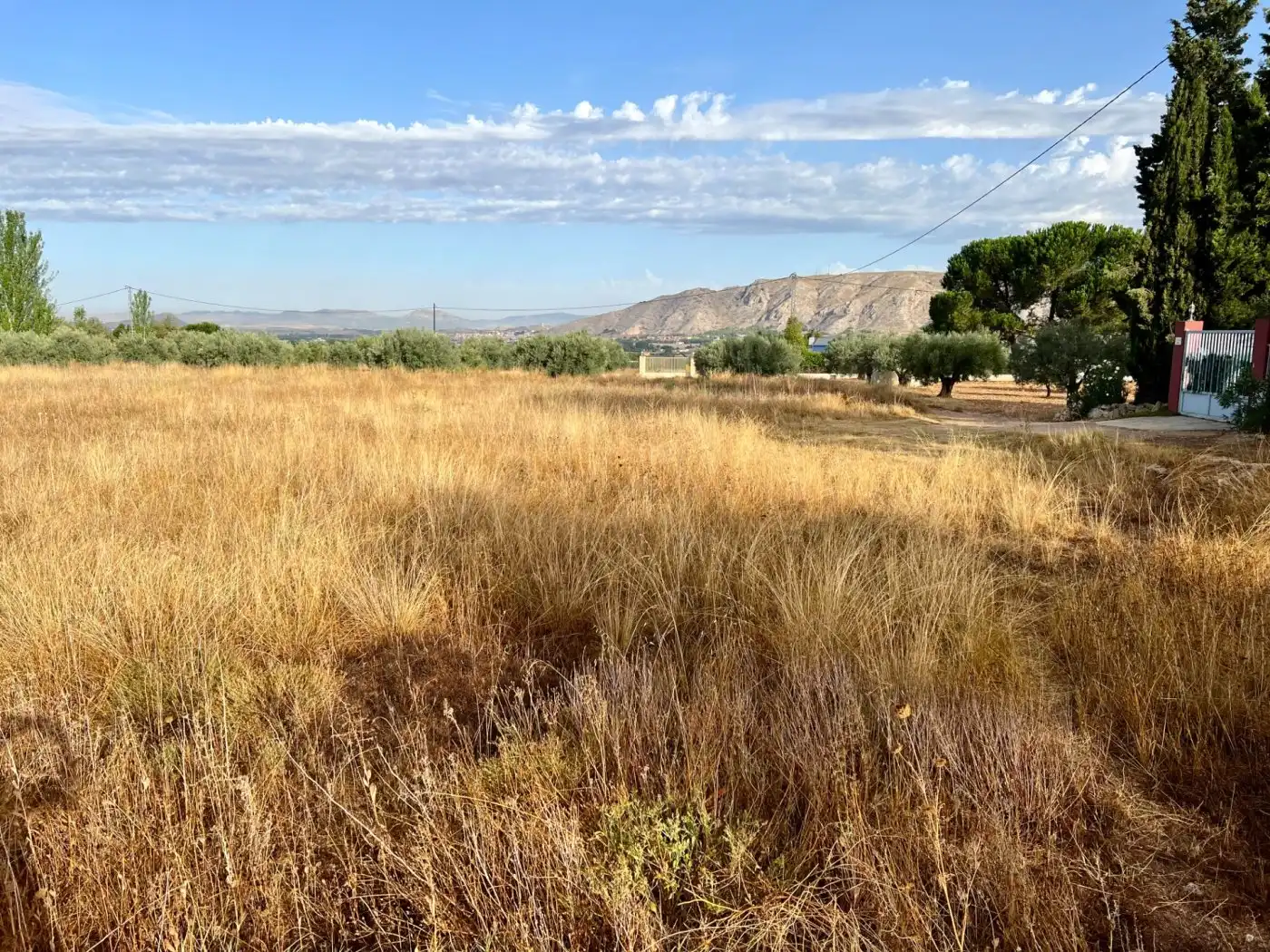 Residential land for sale in Las Tiesas, imagen 7