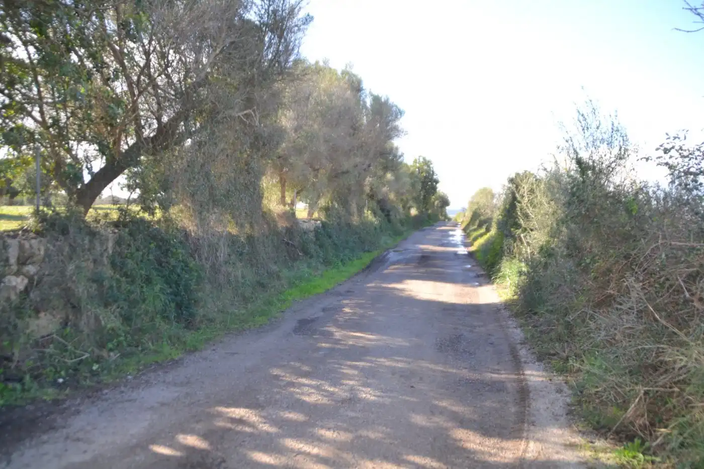 Maison rustique à vendre à Manacor Centre, imagen 6