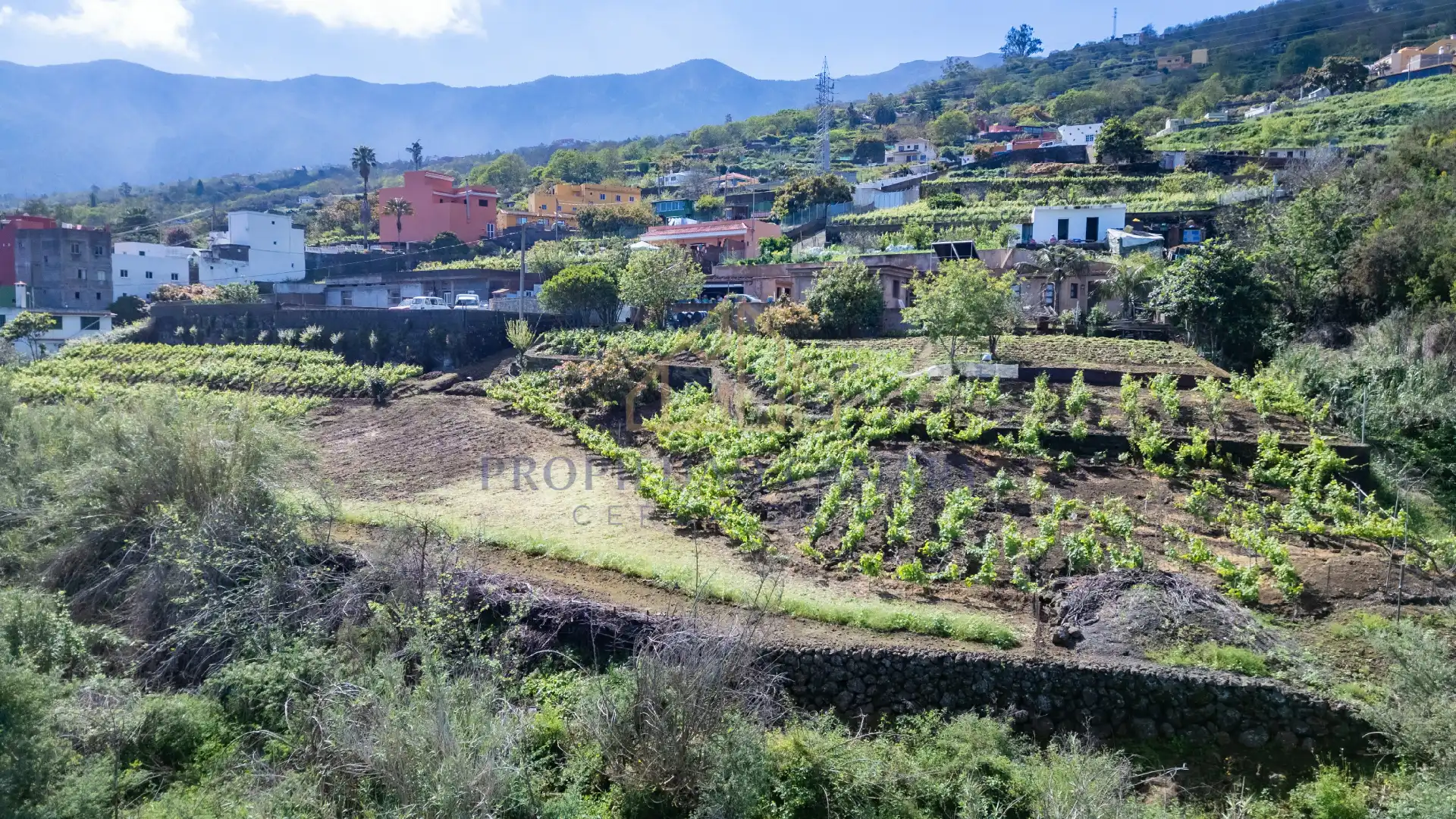 Casa rústica con jardín en venta en La Perdoma - San Antonio - Benijos, imagen 122