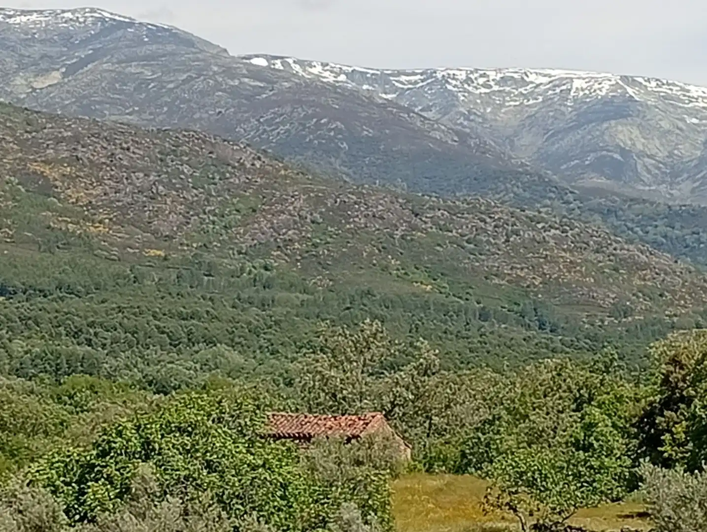 Terreni e lotti in vendita a Villanueva de la Vera, imagen 21