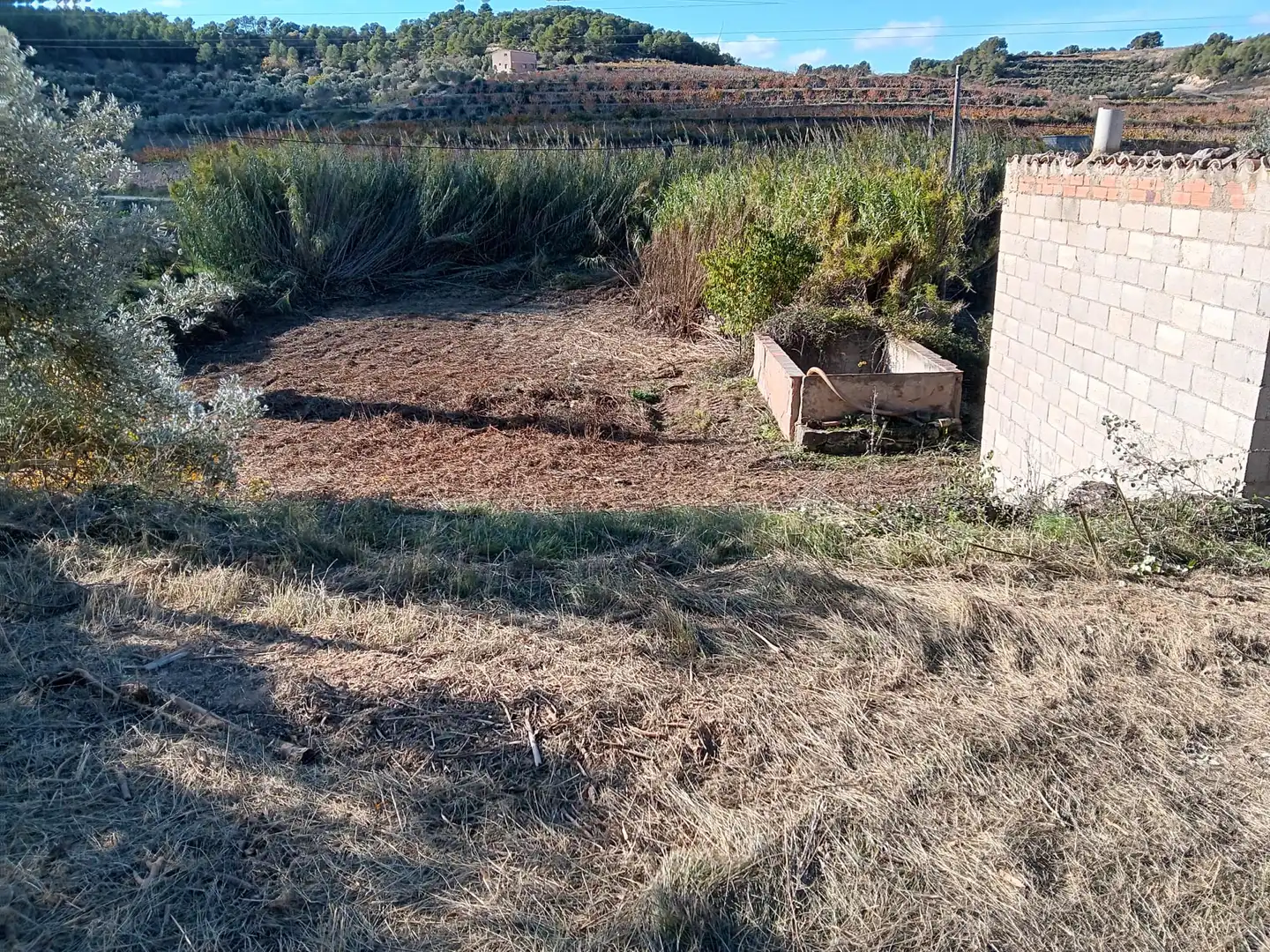 Casa rustica in vendita a Disseminat, imagen 3