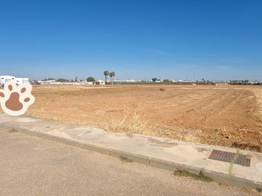 Terreny industrial en venda a Avenida COPÉRNICO