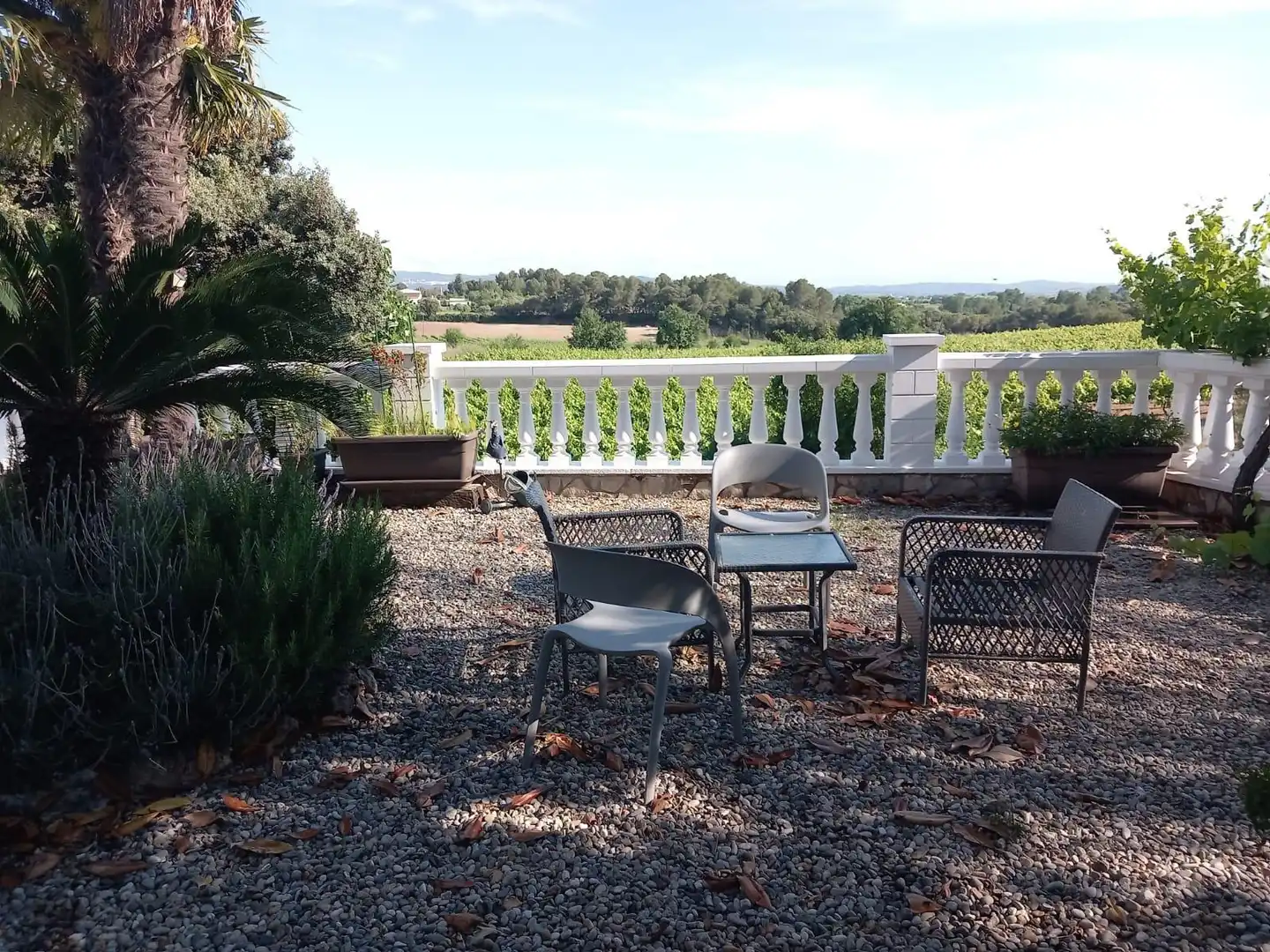 Haus mit Terrasse zur Miete in Pacs del Penedès, imagen 62