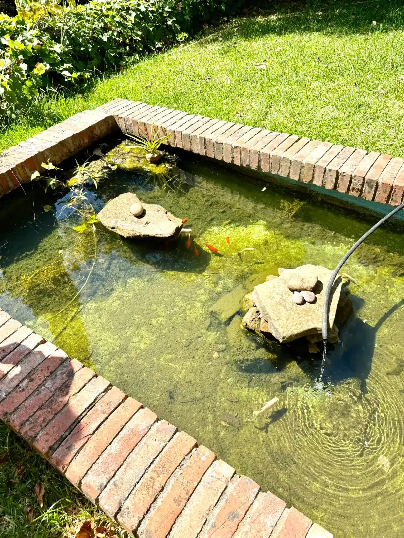 Jardín de Casa o chalet en venta en Algeciras con Jardín privado, Terraza y Piscina