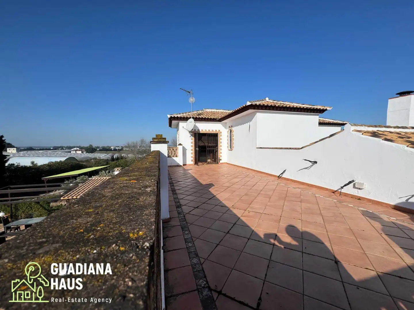 Vista exterior de Finca rústica en venta en Cartaya con Terraza y Piscina
