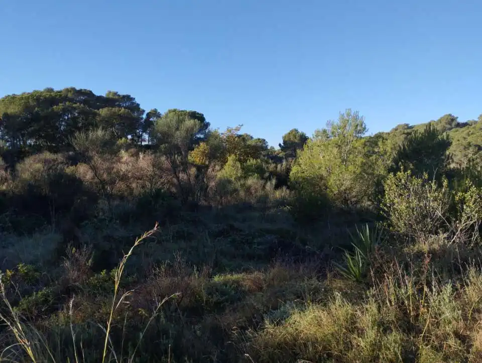 Grundstücke und Bauplätze zum Verkauf in Sant Joan - Vilarromà, imagen 5