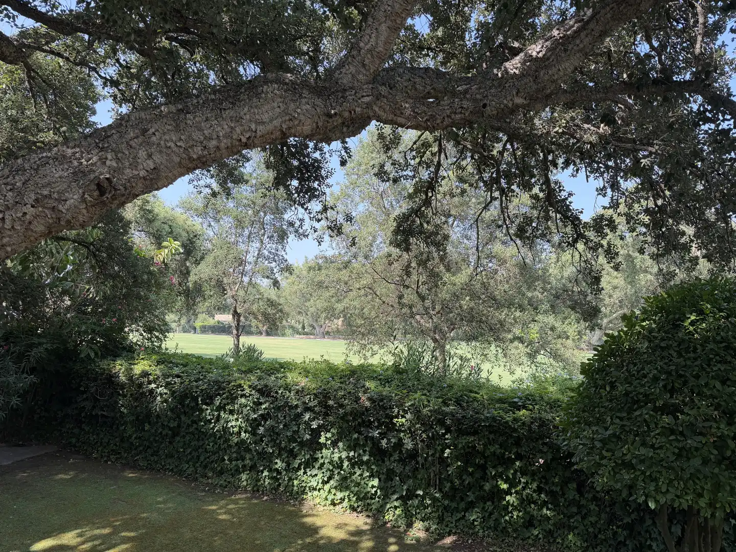 Haus mit Pool zum Verkauf in Sotogrande Costa, imagen 8