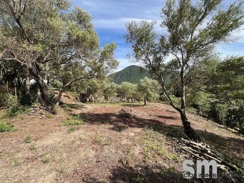 Terreno rustico in vendita a Ubrique, imagen 5