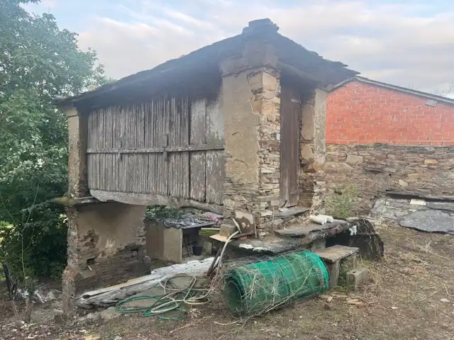 Exterior view of Country homes for sale in San Tirso de Abres