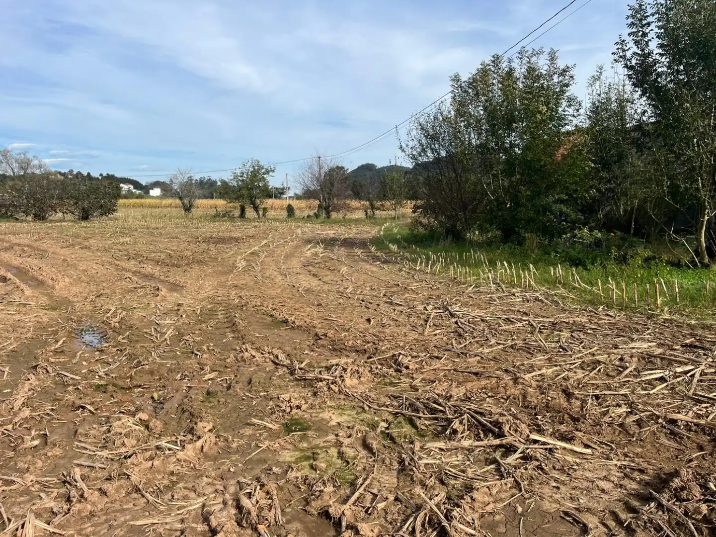 Terreno en venta en Hermosa - CAMPO REDONDO HERMOSA, Ceceñas - Hermosa