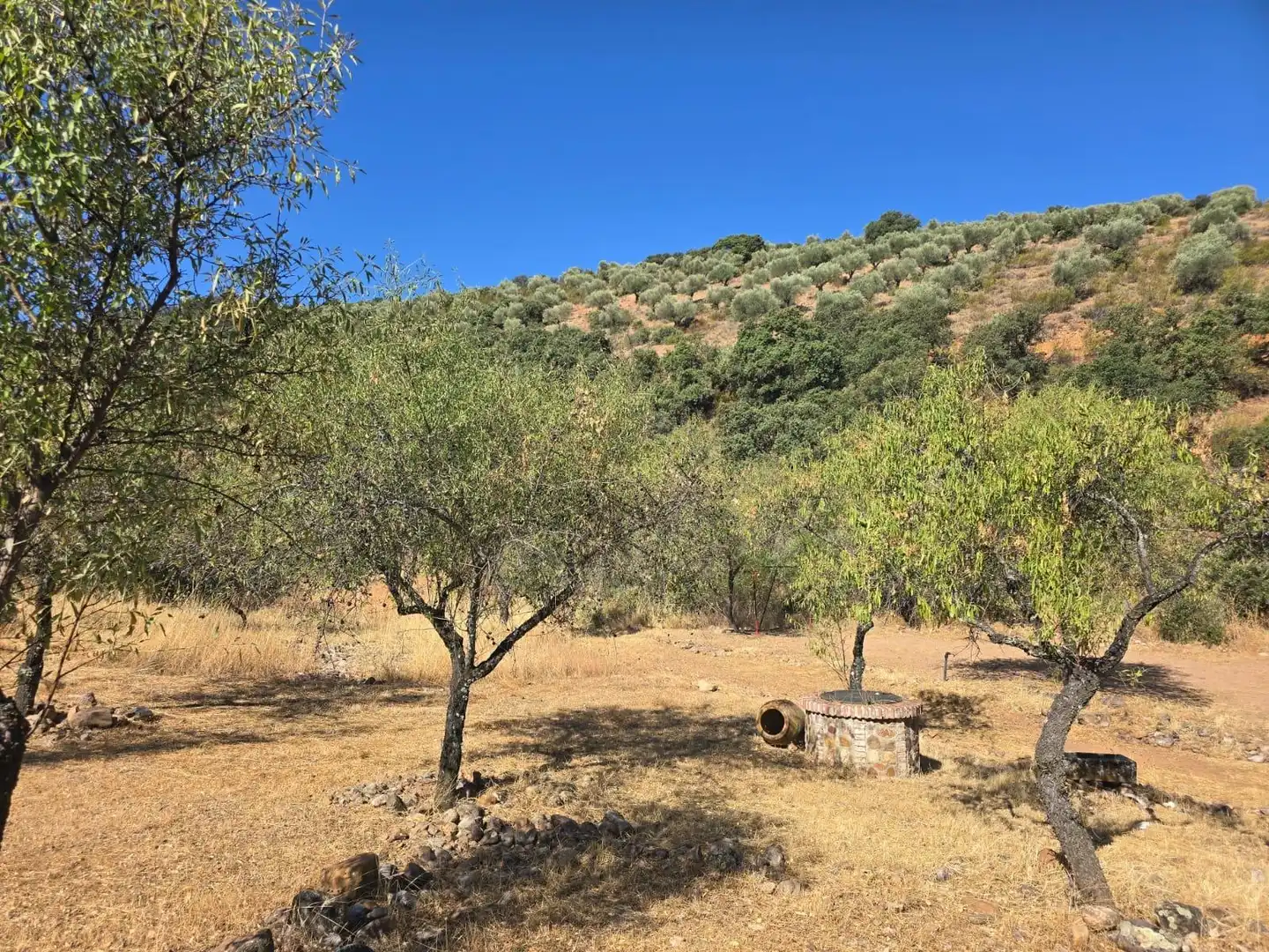Finca rústica en venda a Belvís de la Jara