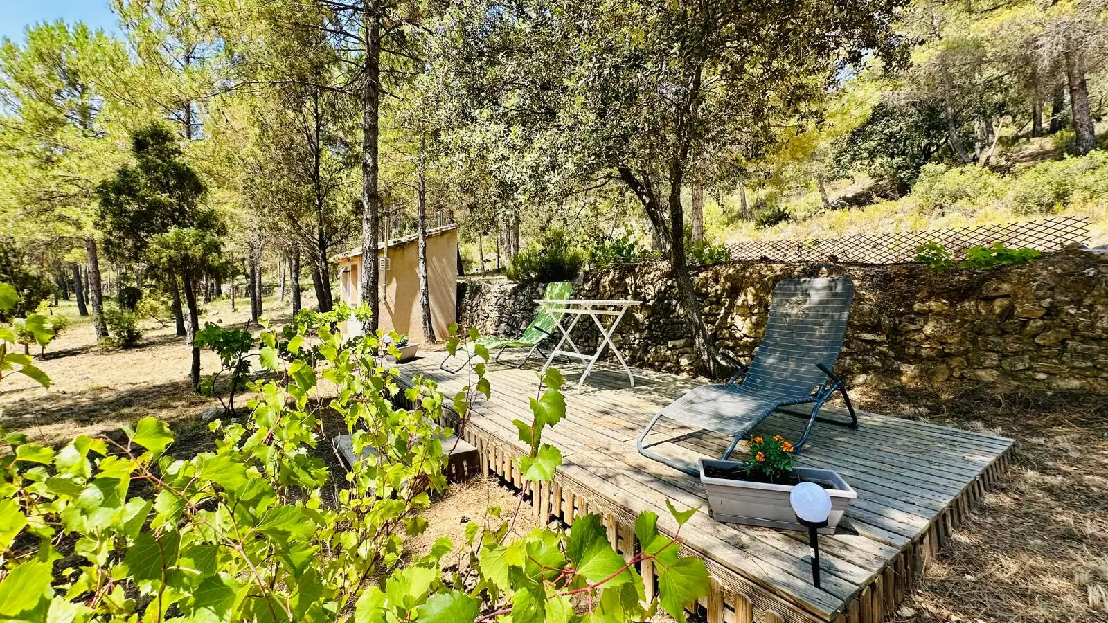 Terraza de Terreno en venta en Monroyo