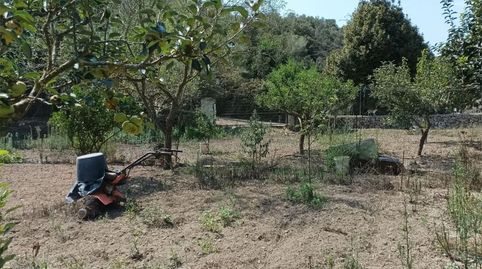 Foto 3 de Residencial en venda a Carretera Fornells,ctra, 9, Es Grau - Serra Morena, Maó - Mahón