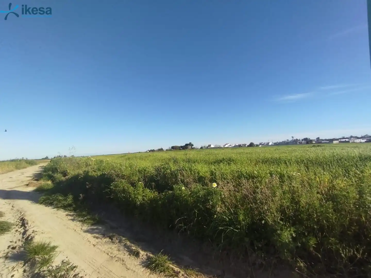 Terreni e lotti in vendita a Almonte ciudad, imagen 7
