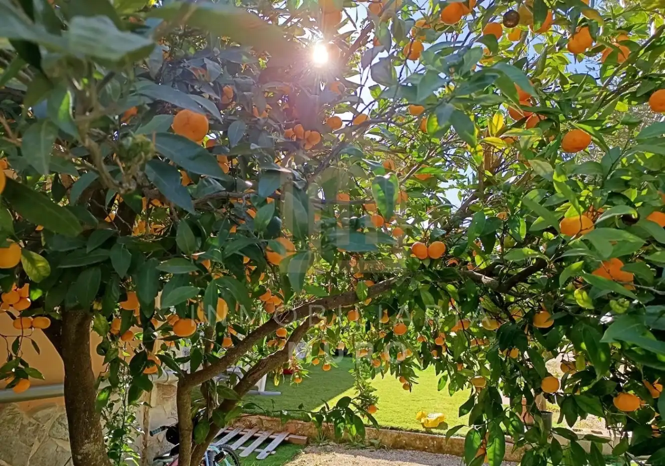 Jardín de Finca rústica en venta en Muro de Alcoy con Aire acondicionado, Jardín privado y Terraza