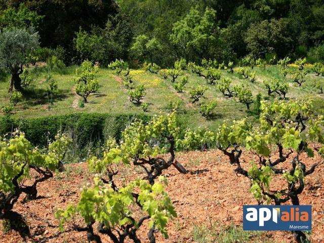 Terreno residencial en Venta en Montornès del Vallès