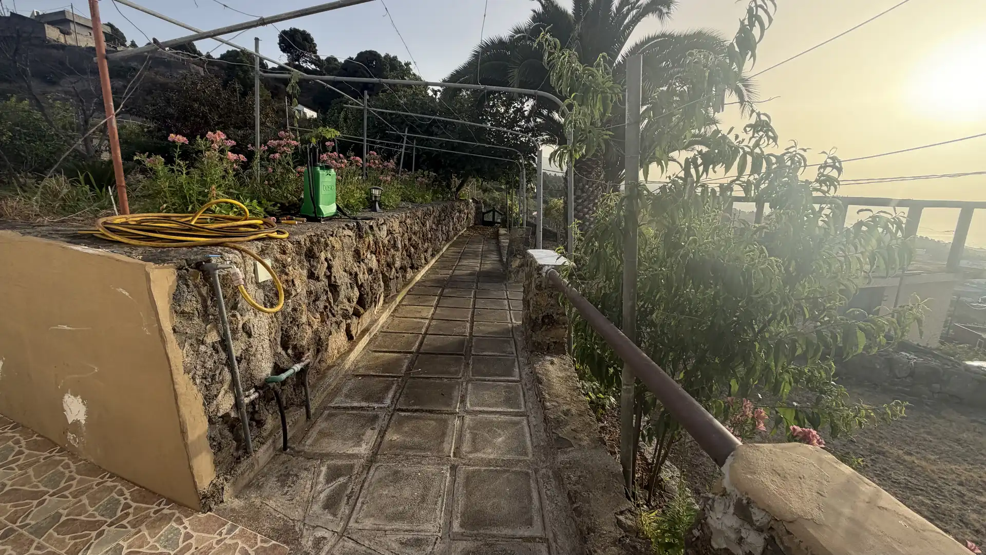 Jardín de Casa o chalet de alquiler en Icod de los Vinos con Jardín privado, Terraza y Trastero