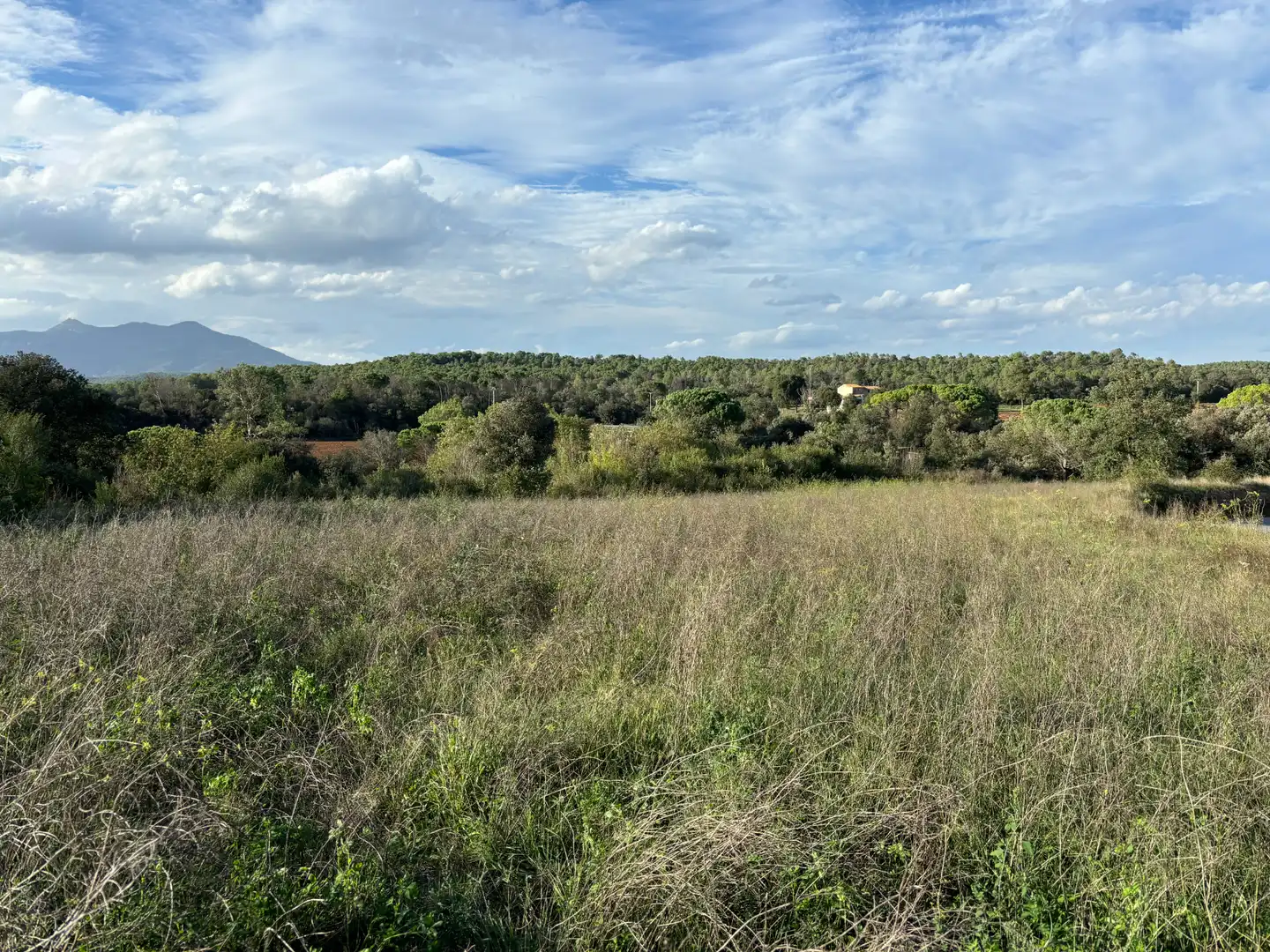Finca rústica en venta en Crespià