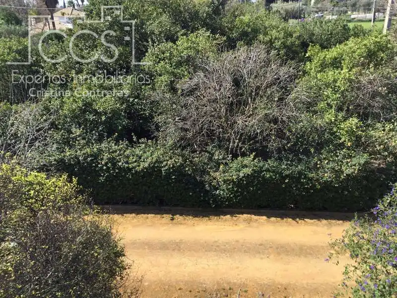Villa avec piscine à vendre à Sanlúcar la Mayor, imagen 108