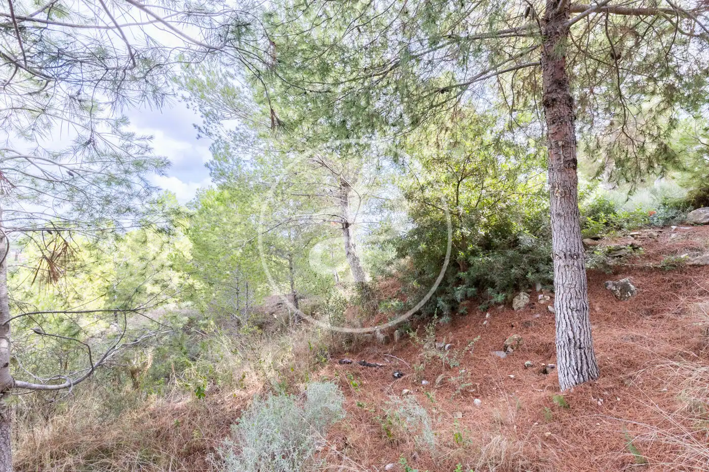 Wohnbaugrundstück zum Verkauf in El Bosque, imagen 10