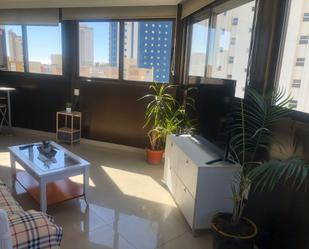 Sala d'estar de Àtic de lloguer en Benidorm amb Aire condicionat