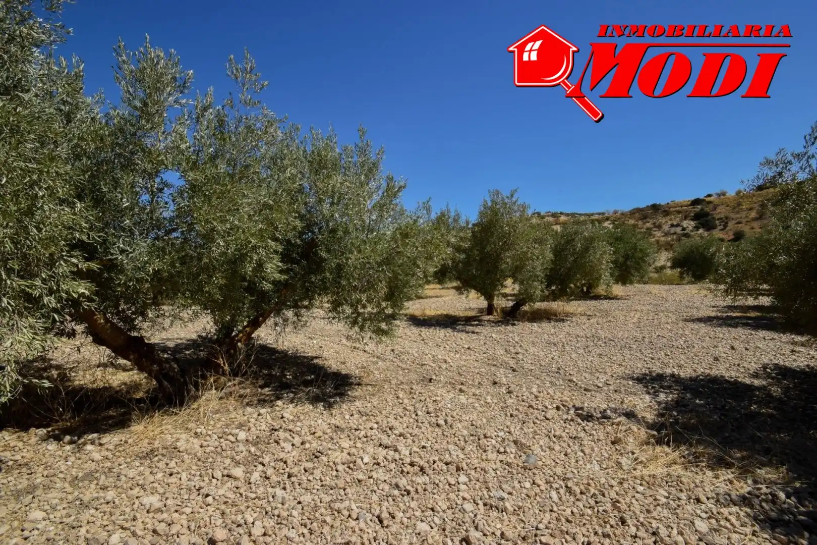 Finca rústica en venda en Cacín amb Jardí privat