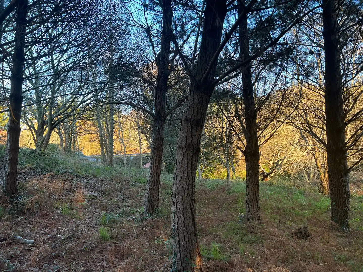 Terrenys i solars en venda a Sedes - Pedroso - Doso, imagen 2