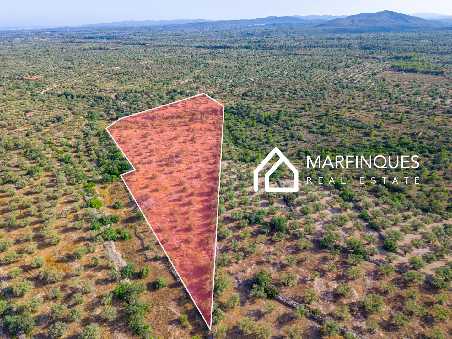 Terreno rustico in vendita a San Rafael del Río, imagen 3