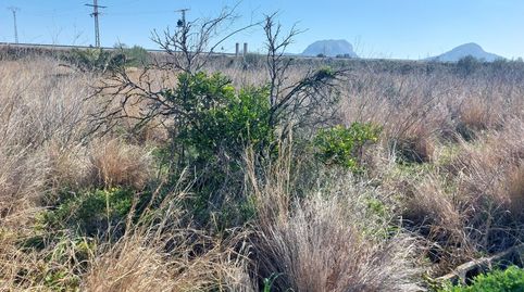 Foto 5 de Terreno en venta en Beniarbeig, Alicante