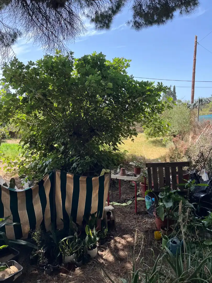 Land for sale in El Puerto de Santa María
