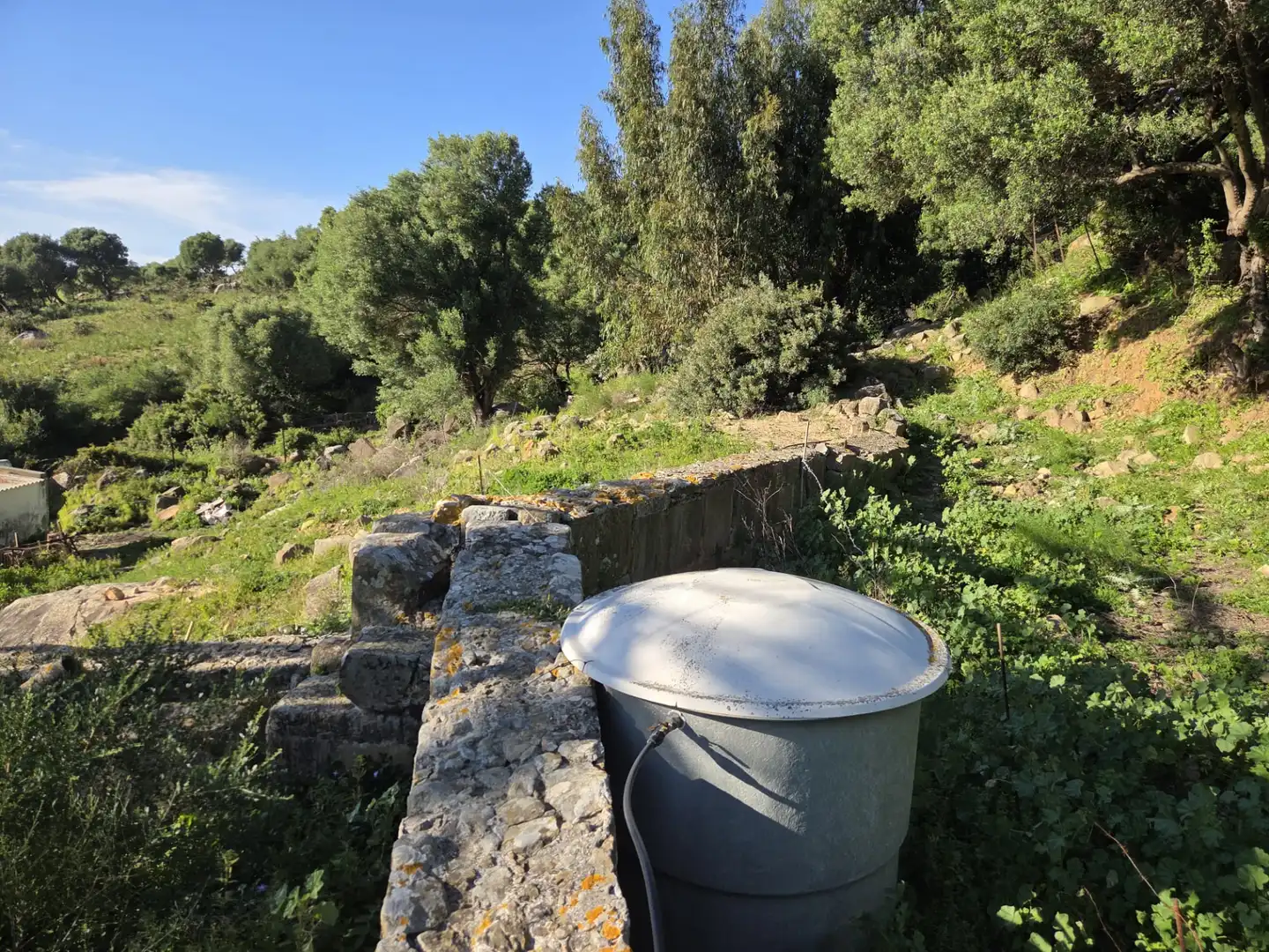 Garden of Country homes for sale in Tarifa ciudad