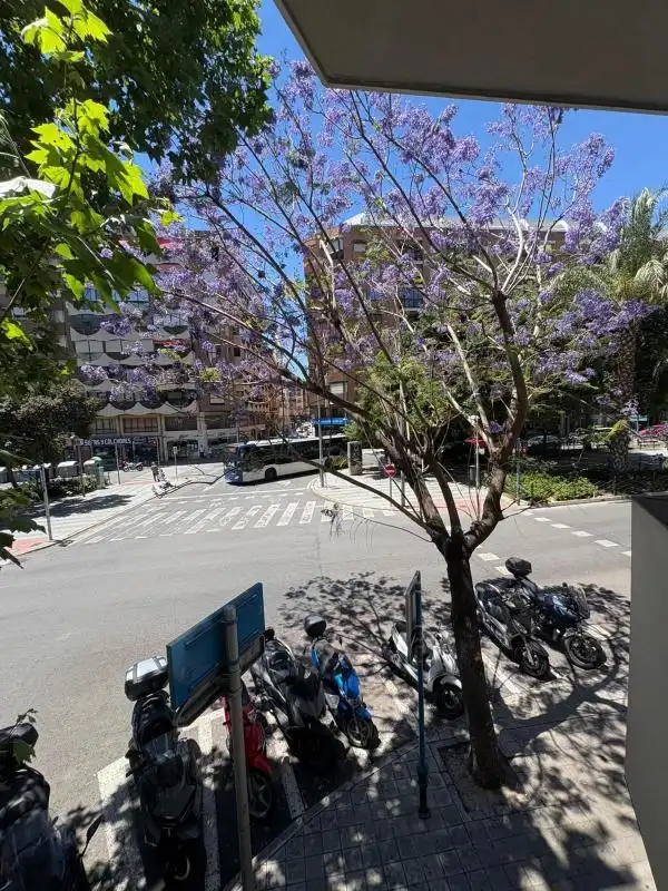 Büro zur Miete in Carrer Reis Catòlics, imagen 45