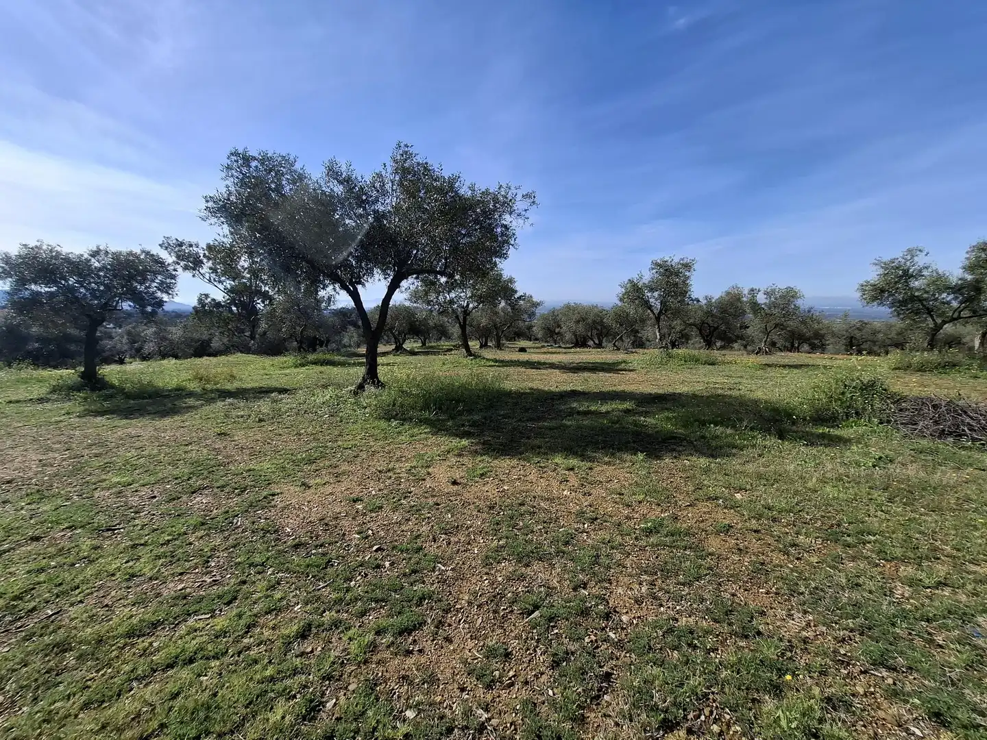 Terrenos y solares en venta en Balmes, imagen 6