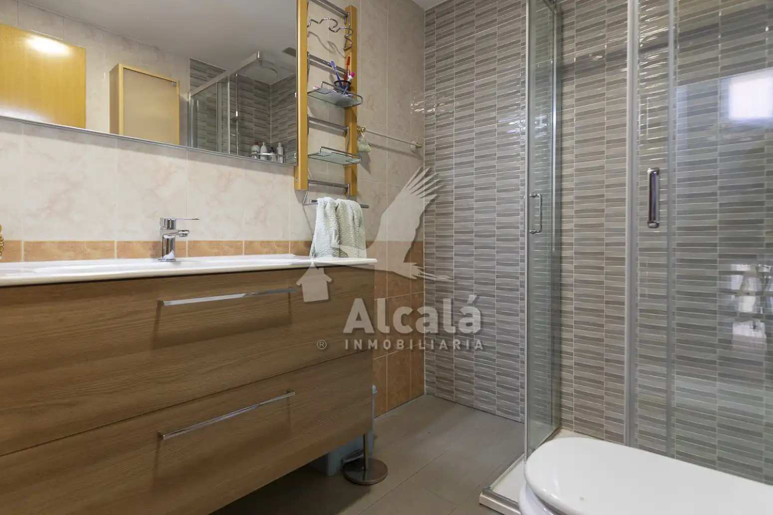 Baño de Casa o chalet en venta en La Garena