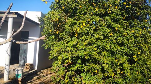 Parcela Rustica Segregada en la Rivera de la Oliva, imatge 2