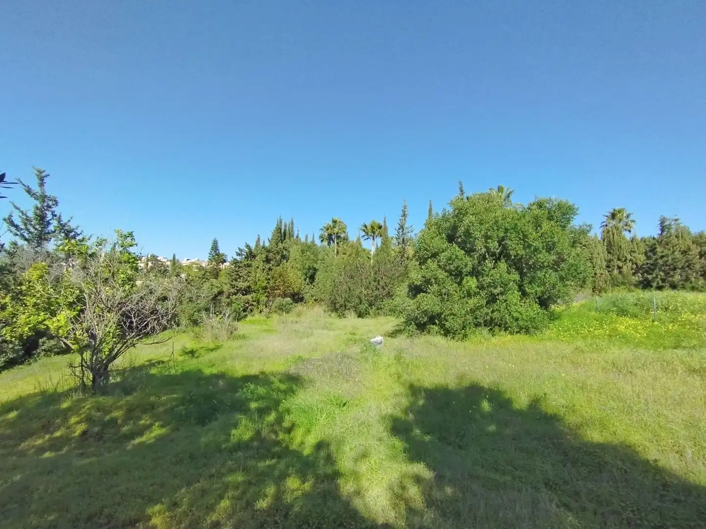 Terreni e lotti in vendita a Benamara - Atalaya, imagen 18