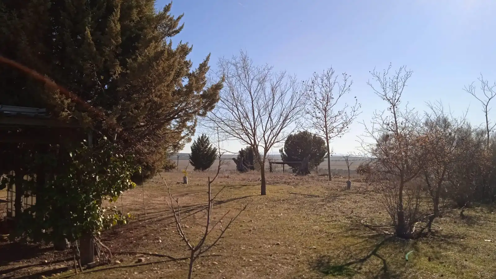 Terreno en venta en Illán de Vacas