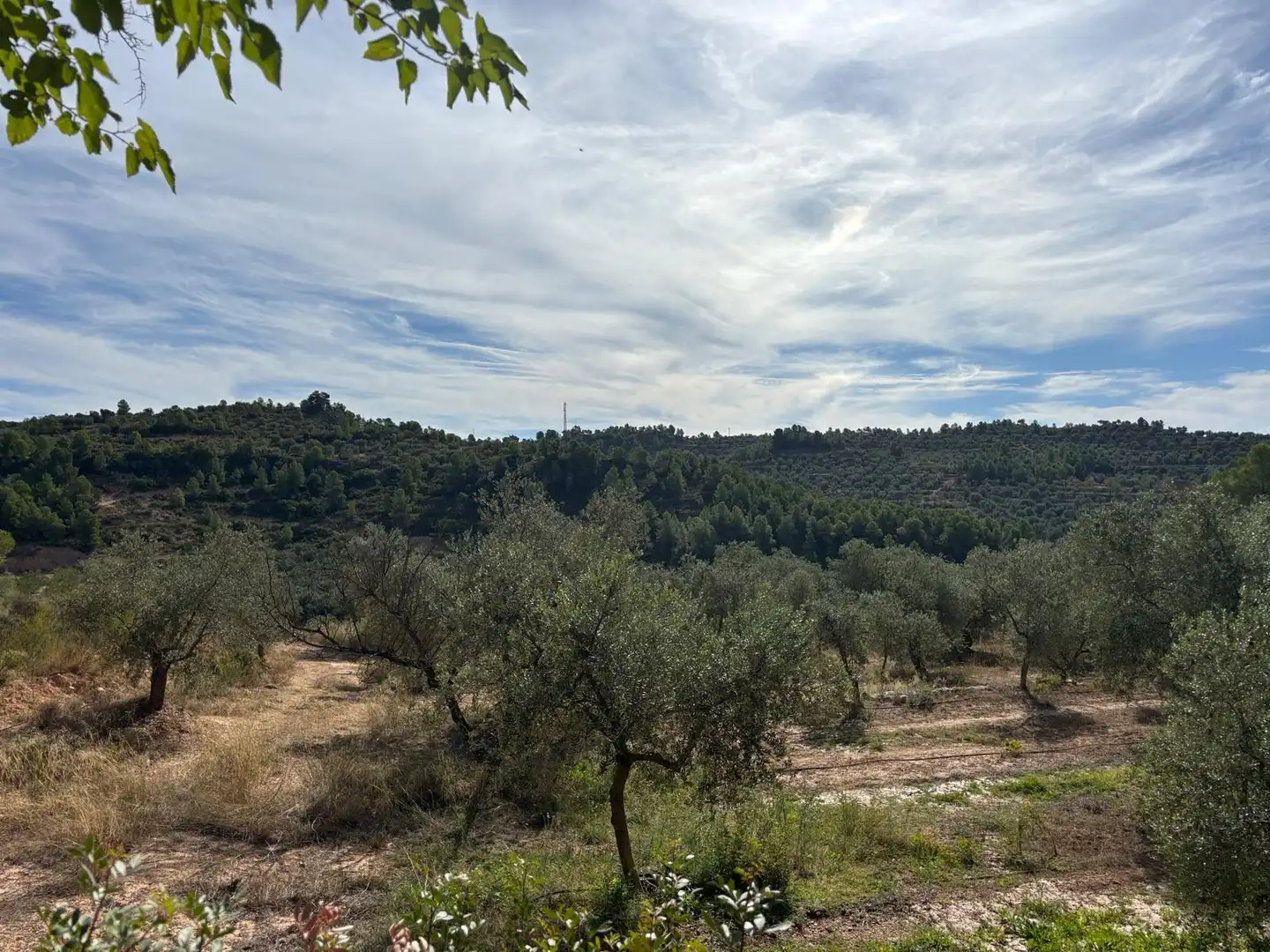 Terreno rustico in vendita a Carrer Sola, imagen 8