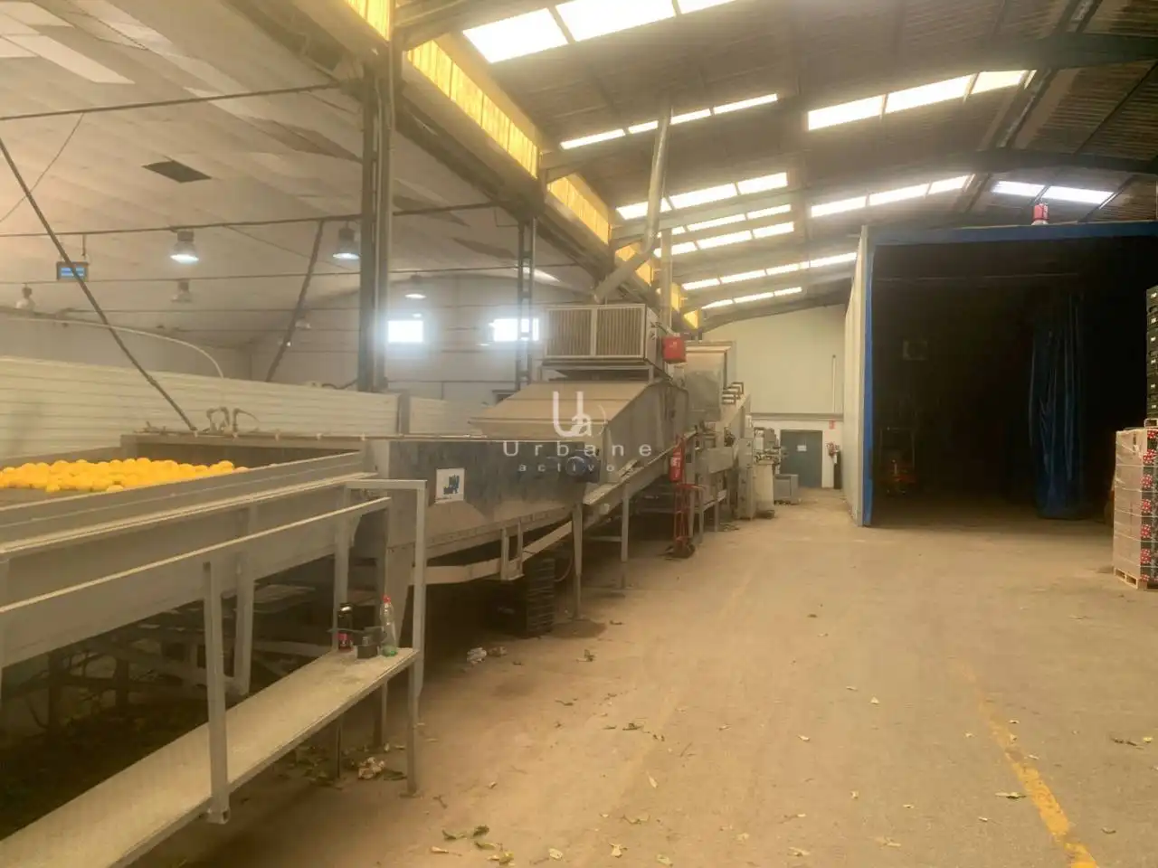 Nau industrial en venda en Murcia