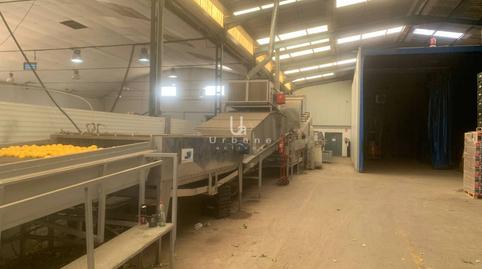 Photo 4 of Industrial buildings for sale in Calle  Vereda las Palmeras, Los Ramos,  Murcia Capital