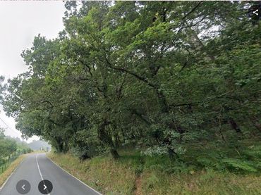 Terreno rustico in vendita a Vila de Cruces